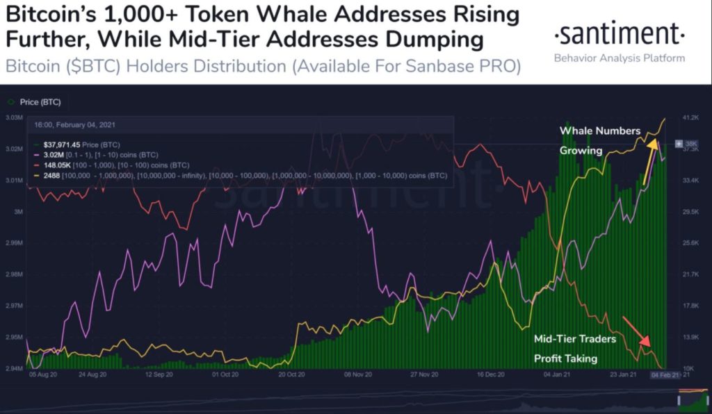 btc