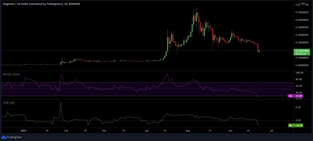 DOGE chart