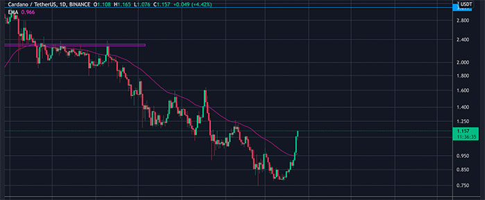 CARDANO 30% RISE