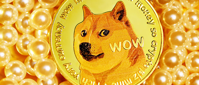 Predicción del Precio de Dogecoin (DOGE) 2022-2025 - ¿Seguirá Elon Musk Apoyando a DOGE?