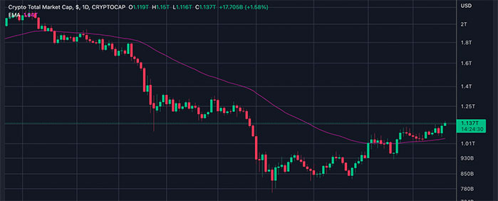 El Mercado de Criptomonedas se Tiñe de Verde, ¿Qué ha Pasado?