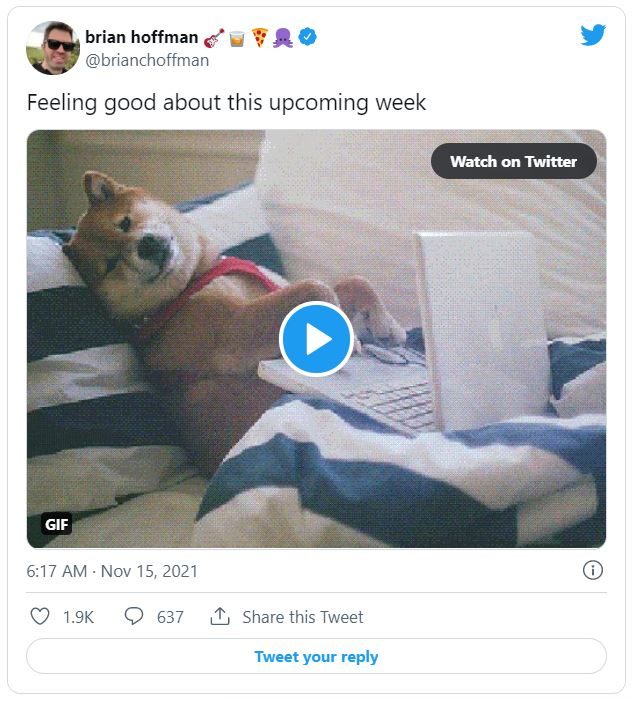 shiba tweet