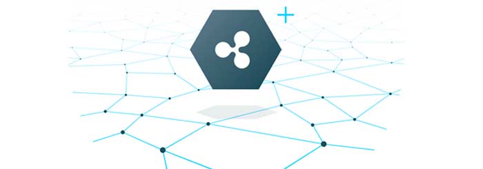 xrp ledger ripple