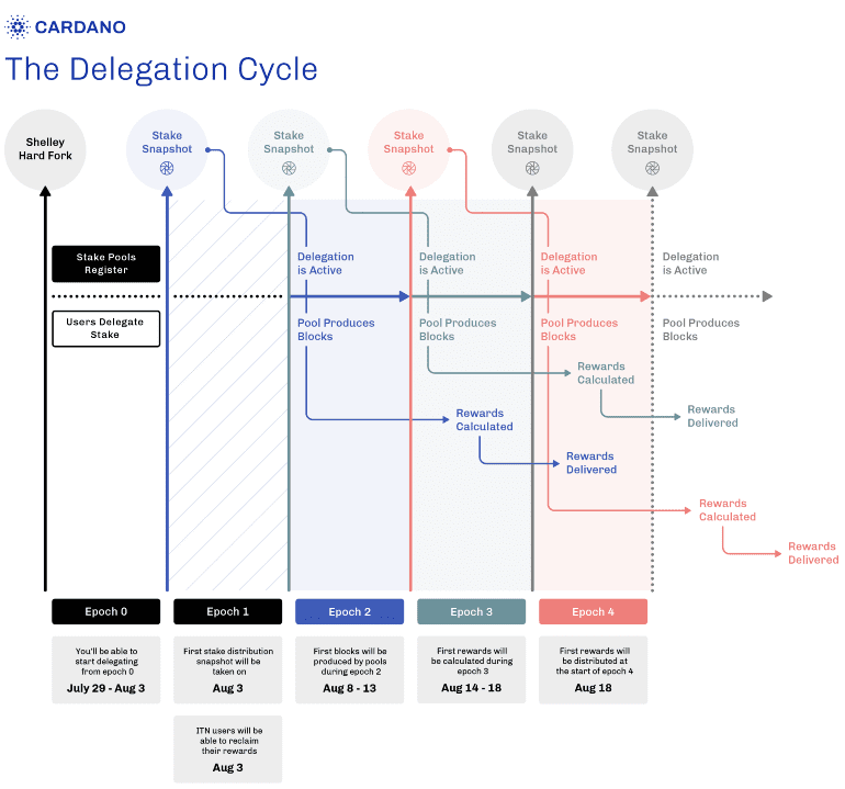 cardano stake guide