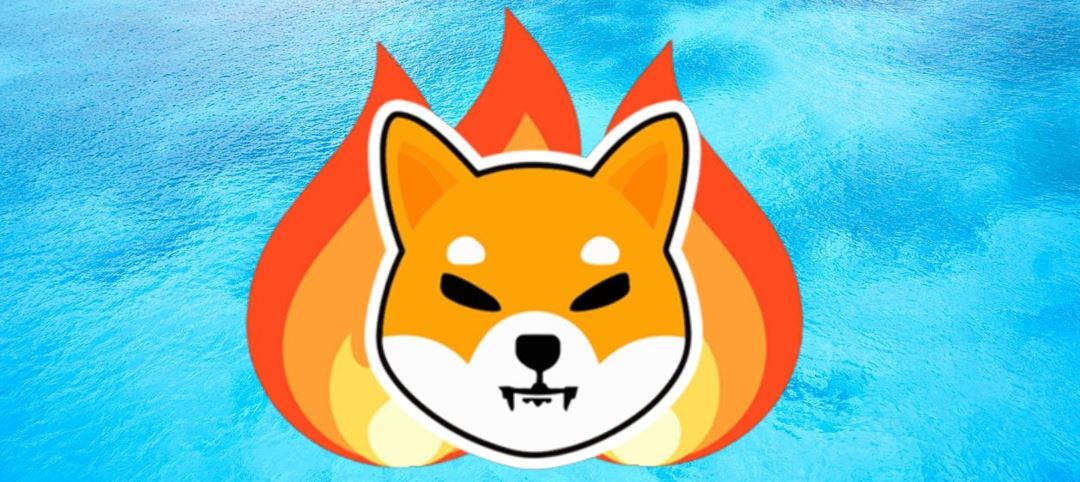 Shiba Inu Birthday Bash; Reveals New Game 'Shiba Eternity'