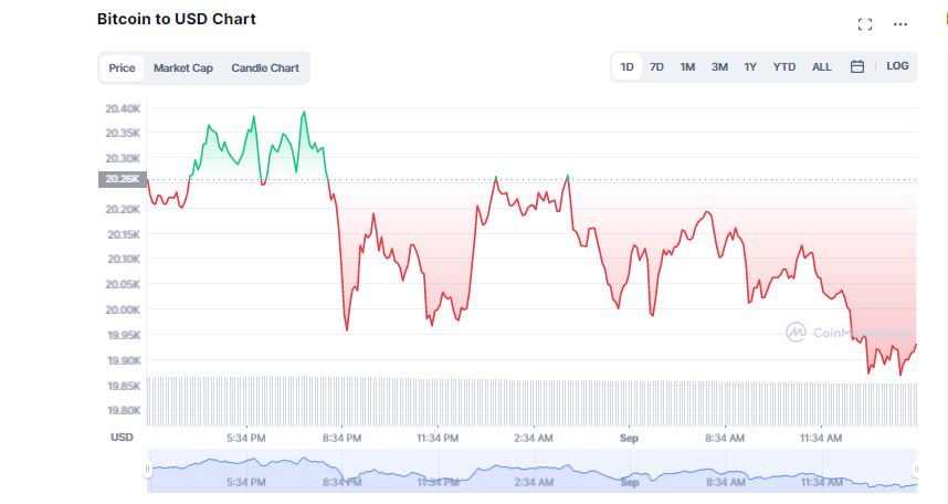 Bitcoin Struggles as it Sinks Below $20k; Crypto Market Swims in Red