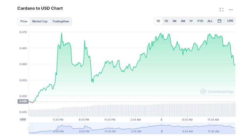 Everything You Need to Know About Cardano's Vasil Update