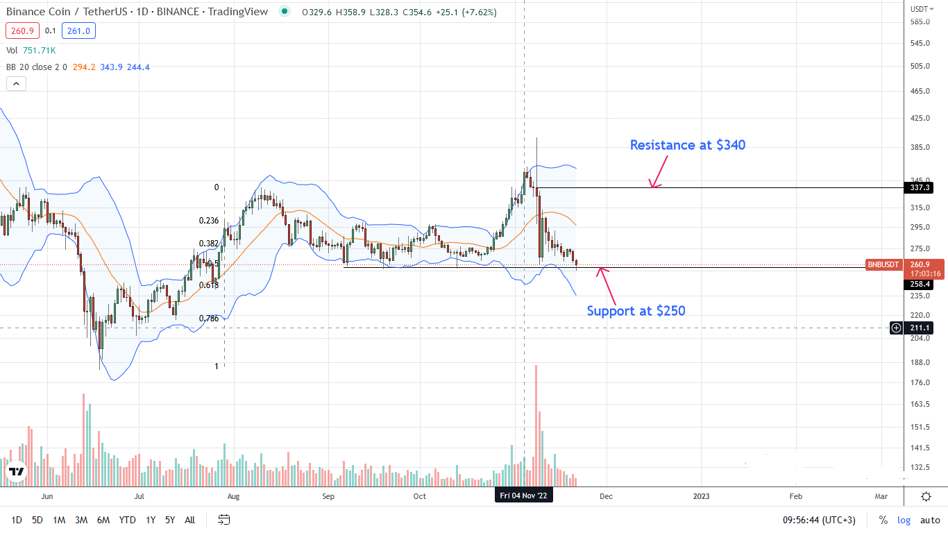 BNB daily chart for November 21