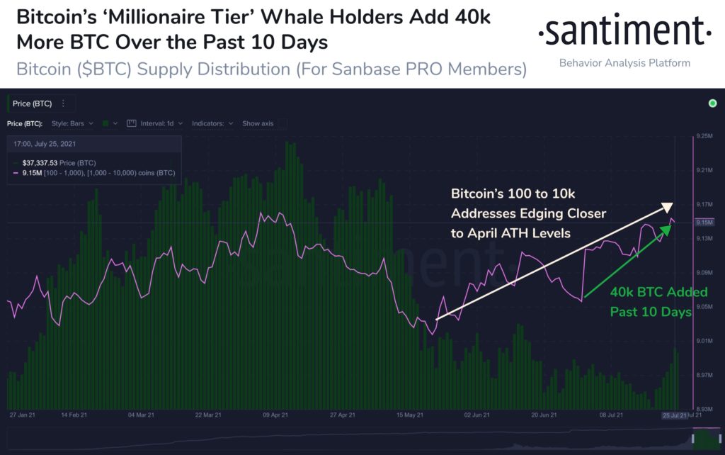 Here's what Bitcoin [BTC] whales are doing as market tussles with 'dead cat bounce'