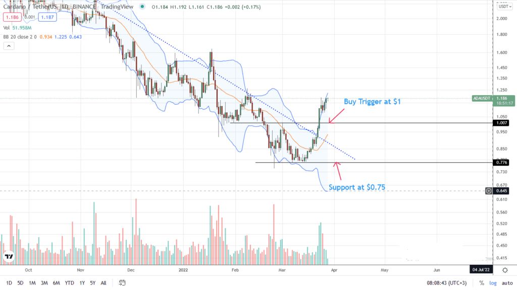 Cardano