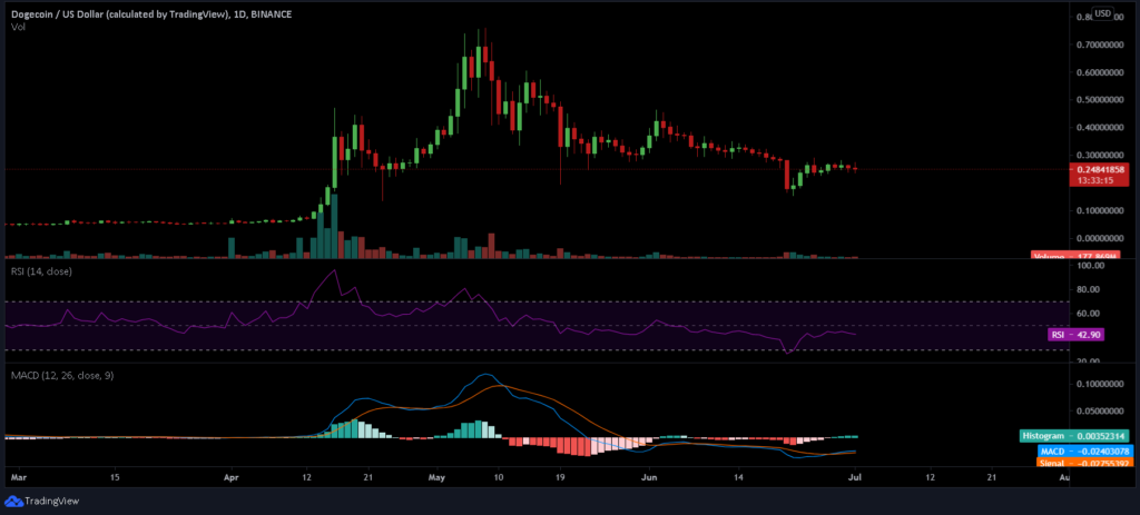 Elon Musk tweets 'Release the DOGE' tweet but will Dogecoin's dry spell end? 