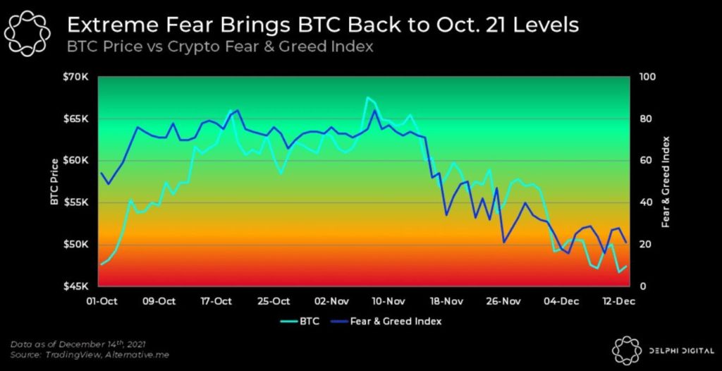 Crypto market in extreme fear zone; Where do we go from here? 