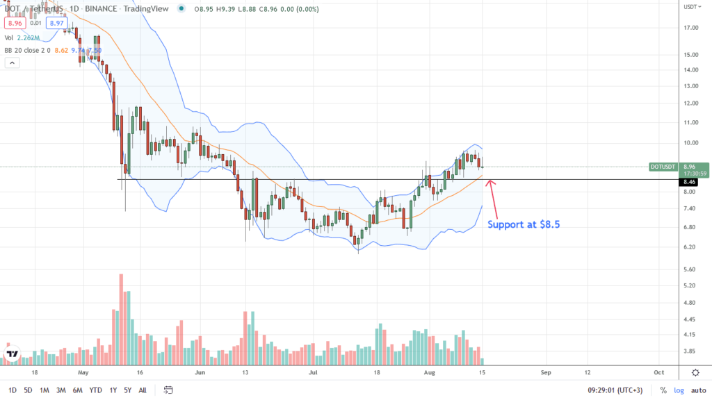 Polkadot Drops 13% in a Retest, Primary DOT Support at $8.5