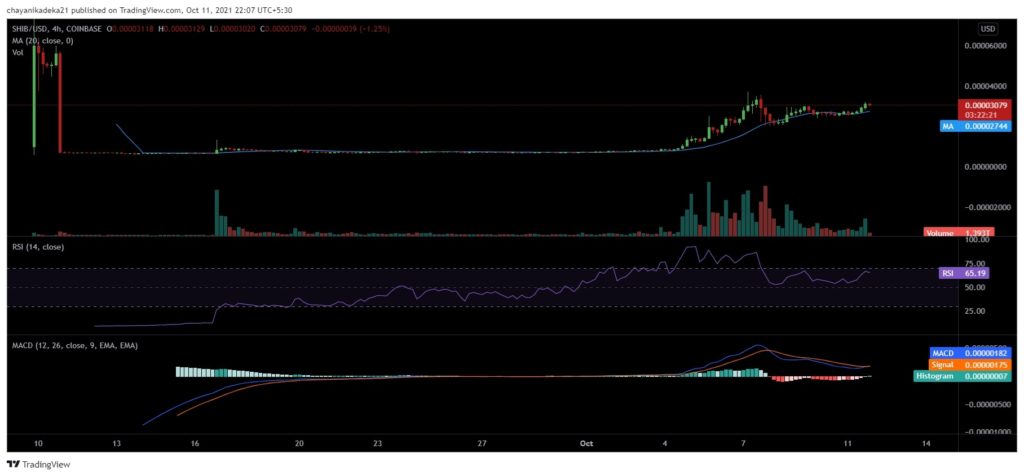 After 200% rally, Shiba Inu [SHIB] investors need to know this