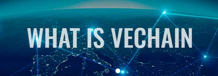 Vechain-vet