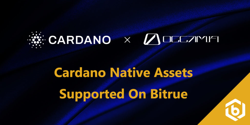 Cardano Meltdown: ADA plunges to 3-month low despite Bitrue update