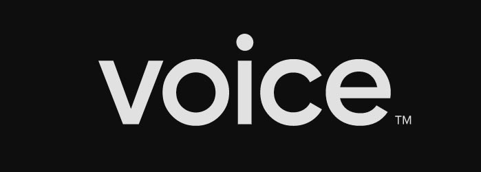 voice