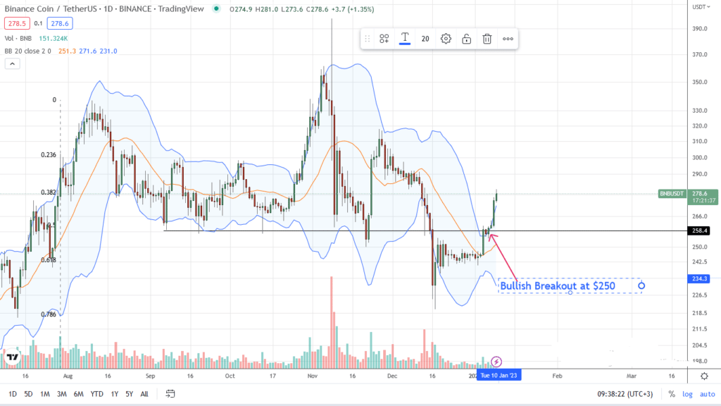 BNB Daily chart for January 9