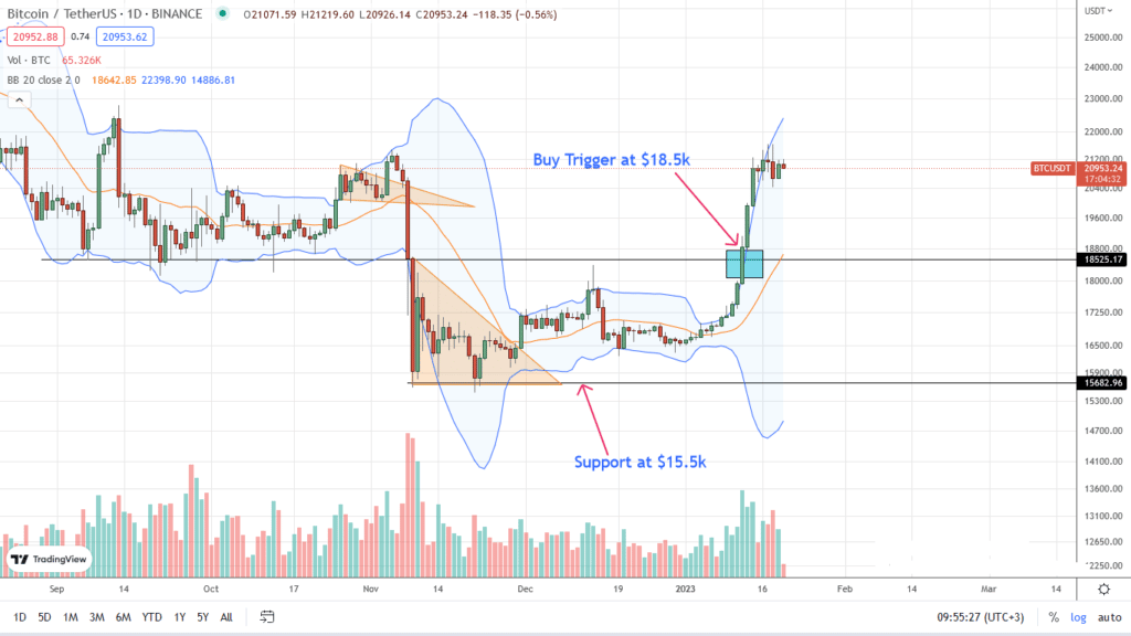 Bitcoin daily chart for January 20