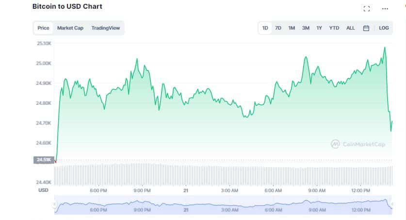 Bitcoin (BTC) supera los 25.000 $ y gana un 14% en la última semana