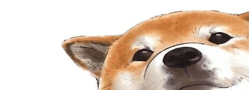 Billions of Shiba Inu Moved by Whales