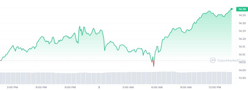 What’s Next for the Network?