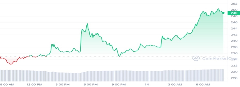 BNB leads the market. and its going up non stop