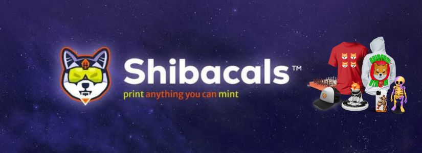 Shibacals: Authentication of Collectibles through NFC Technology