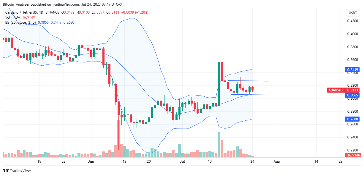 Cardano price on July 24 | Source: ADA/USDT on Binance, Tradingview