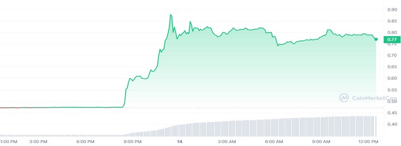 ¡El mercado explota tras la victoria de Ripple sobre la SEC!